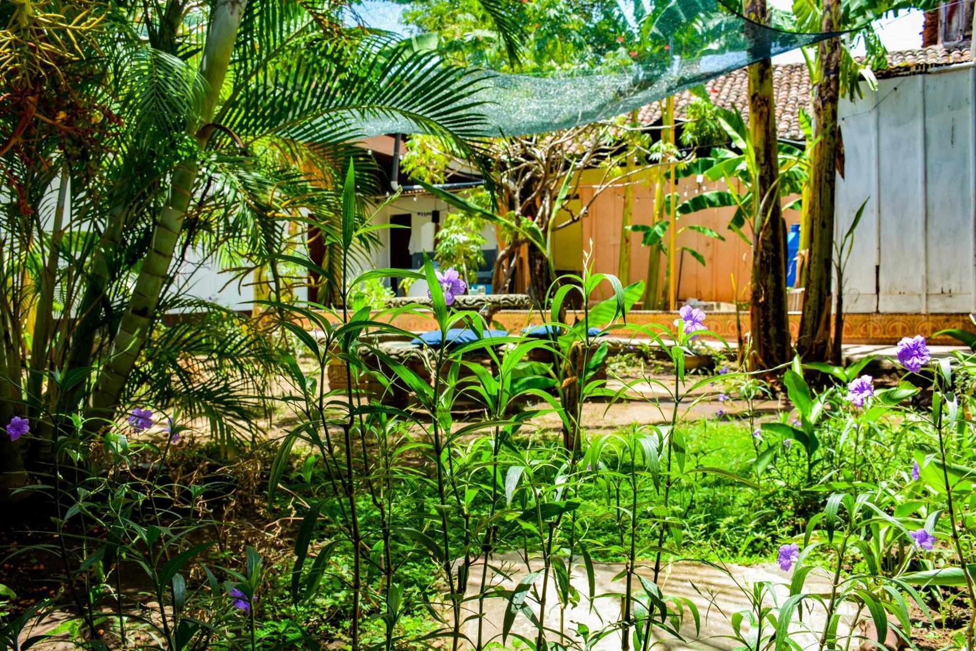 Casa Gallo Pinto Granada Exterior photo